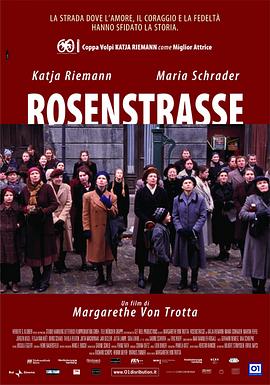 玫瑰围墙 Rosenstraße 高清迅雷网盘下载