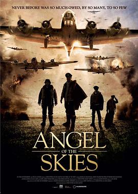 空中的天使 Angel of the Skies 高清迅雷网盘下载