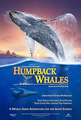 座头鲸 Humpback Whales 高清迅雷网盘下载