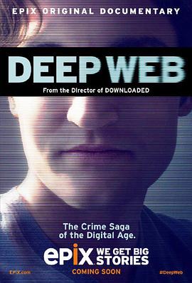 深网：比特币和丝绸之路未透露的故事 Deep Web: The Untold Story of BitCoin and Silk Road 高清迅雷网盘下载