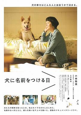 为你取名的那一天 犬に名前をつける日 高清迅雷网盘下载