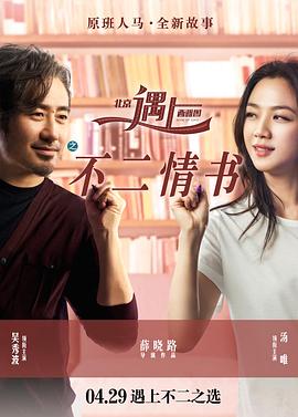 北京遇上西雅图之不二情书 高清迅雷网盘下载