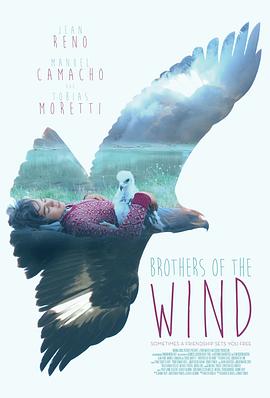 追鹰日记 Brothers of the Wind 高清迅雷网盘下载