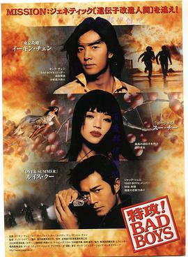 坏小子特攻 BadBoy特攻 高清迅雷网盘下载