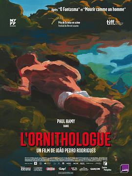 鸟类学家 O Ornitólogo 高清迅雷网盘下载