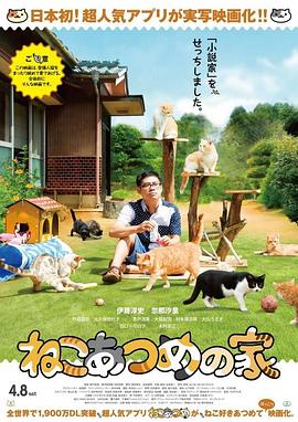 猫咪后院之家 ねこあつめの家 高清迅雷网盘下载