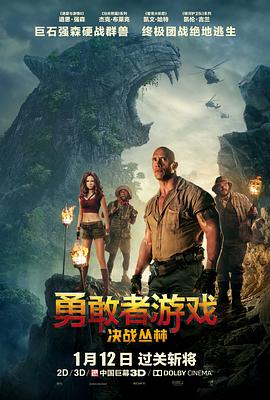 勇敢者游戏：决战丛林 Jumanji: Welcome to the Jungle 高清迅雷网盘下载