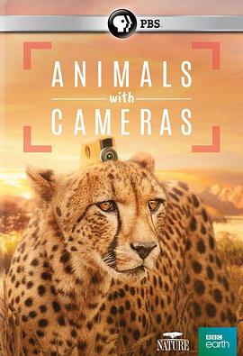 假如动物会摄影 Animals with Cameras 高清迅雷网盘下载