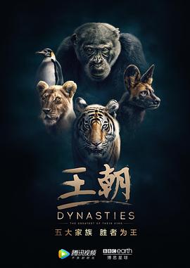 王朝 第一季 Dynasties Season 1 高清迅雷网盘下载