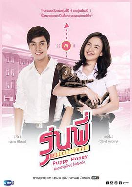 秘恋之我亲爱的狗狗 Secret Love Series: Puppy Honey 高清迅雷网盘下载