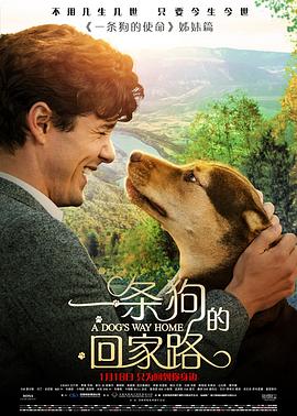 一条狗的回家路 A Dog