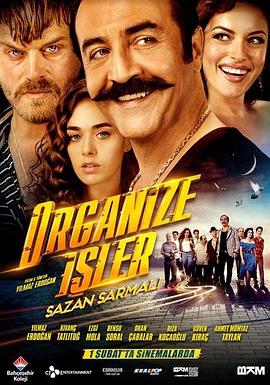 有组织的工作 Organize Isler: Sazan Sarmali 高清迅雷网盘下载