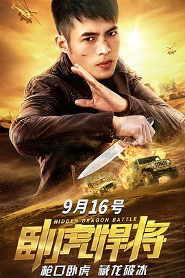 卧虎悍将 高清迅雷网盘下载