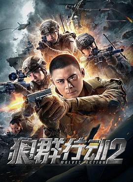 狼群行动2 高清迅雷网盘下载