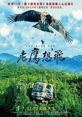 老鹰想飞 老鷹想飛 高清迅雷网盘下载