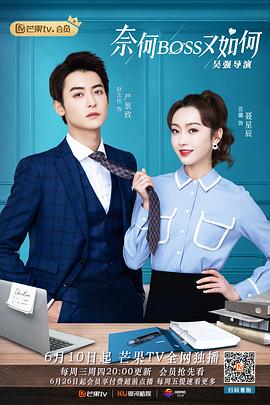奈何BOSS又如何 高清迅雷网盘下载