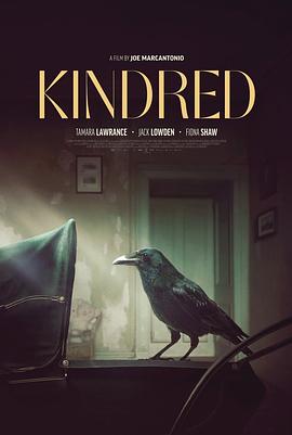 亲属关系 Kindred 高清迅雷网盘下载