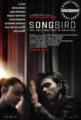 鸣鸟 Songbird 高清迅雷网盘下载