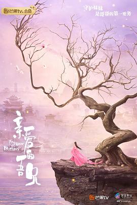 亲爱的吾兄 高清迅雷网盘下载