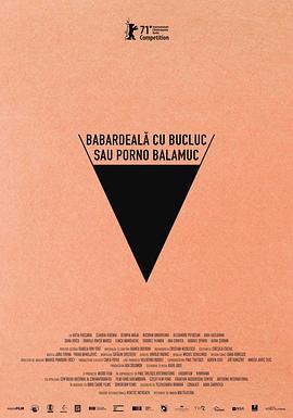 倒霉性爱，发狂黄片 Babardeală cu bucluc sau porno balamuc 高清迅雷网盘下载