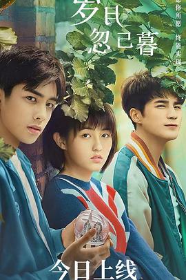 岁月忽已暮 高清迅雷网盘下载