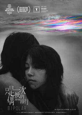 只是一次偶然的旅行 高清迅雷网盘下载