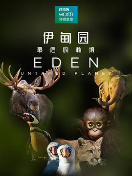 伊甸园：最后的秘境 Eden: Untamed Planet 高清迅雷网盘下载