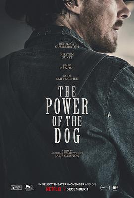 犬之力 The Power of the Dog 高清迅雷网盘下载