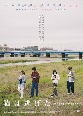 猫猫逃走了 猫は逃げた 高清迅雷网盘下载