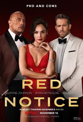 红色通缉令 Red Notice 高清迅雷网盘下载
