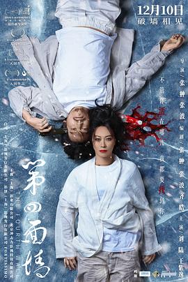 第四面墙 高清迅雷网盘下载
