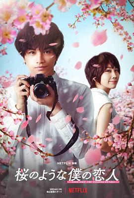 我的樱花恋人 桜のような僕の恋人 高清迅雷网盘下载