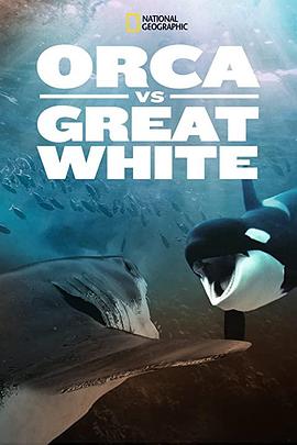 虎鲸对上大白鲨 Orca vs. Great White 高清迅雷网盘下载