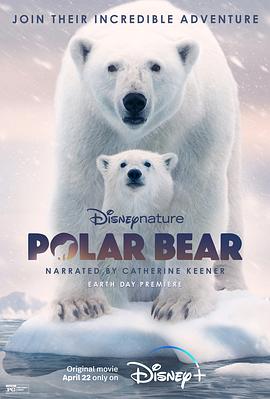 北极熊 Polar Bear 高清迅雷网盘下载