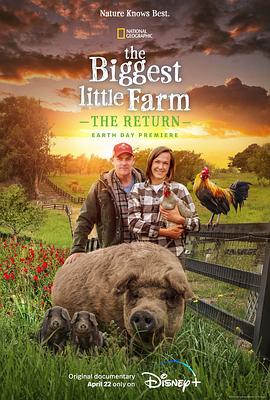 最大的小小农场：回归 The Biggest Little Farm: The Return 高清迅雷网盘下载