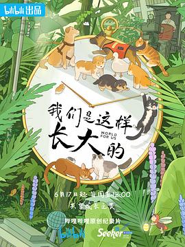我们是这样长大的 高清迅雷网盘下载
