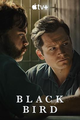 黑鸟 Black Bird 高清迅雷网盘下载