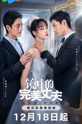 镜中的完美丈夫 高清迅雷网盘下载