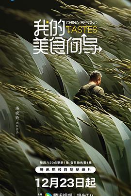 我的美食向导 高清迅雷网盘下载