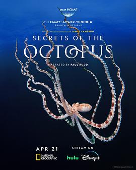 章鱼的秘密 Secrets of the Octopus 高清迅雷网盘下载