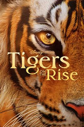 老虎崛起 Tigers on the Rise 高清迅雷网盘下载