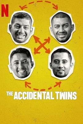 双胞胎乌龙：翻倍的兄弟情 The Accidental Twins 高清迅雷网盘下载