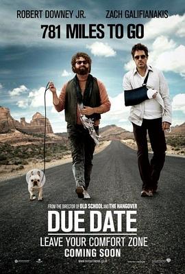 预产期 Due Date 高清迅雷网盘下载