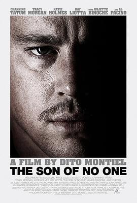 无人之子 The Son of No One 高清迅雷网盘下载